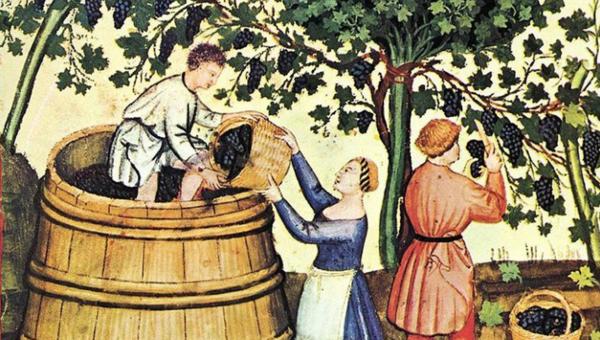A brief history of viticulture in Slovakia